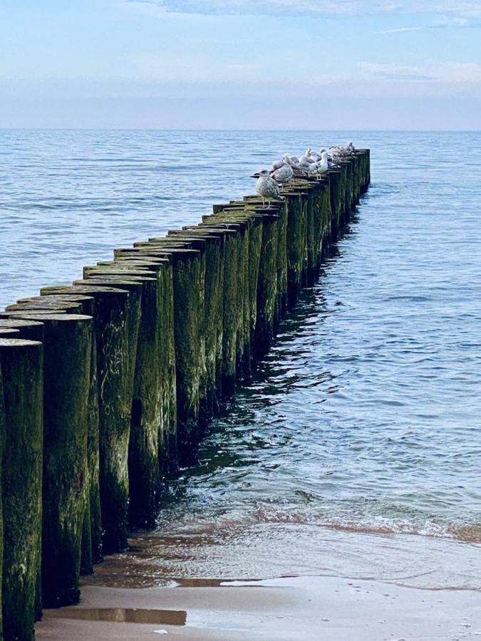 Apartamenty Pod Zaglami Dziwnówek Exteriér fotografie